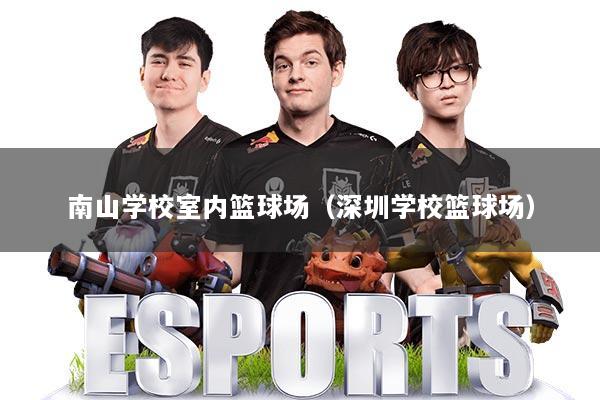 南山学校室内篮球场(深圳学校篮球场)